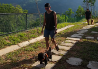 Stepping stones walk